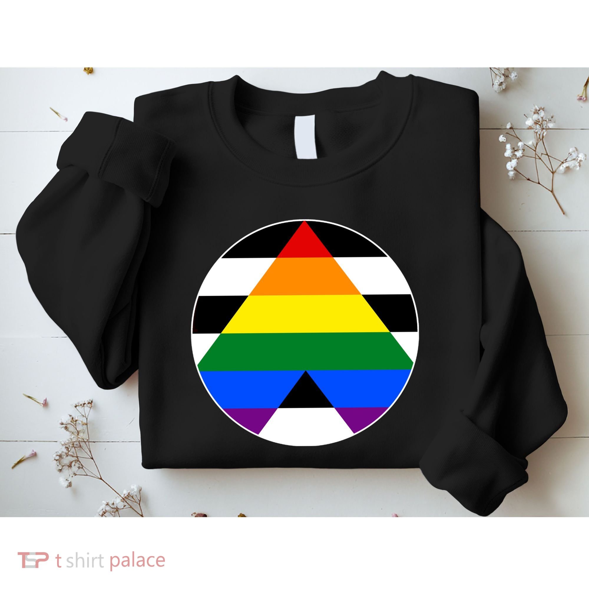 Ally Flag Circle Pyramid Pride Sweatshirt