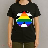Ally Flag Circle Pyramid Pride T-Shirt thumb 4