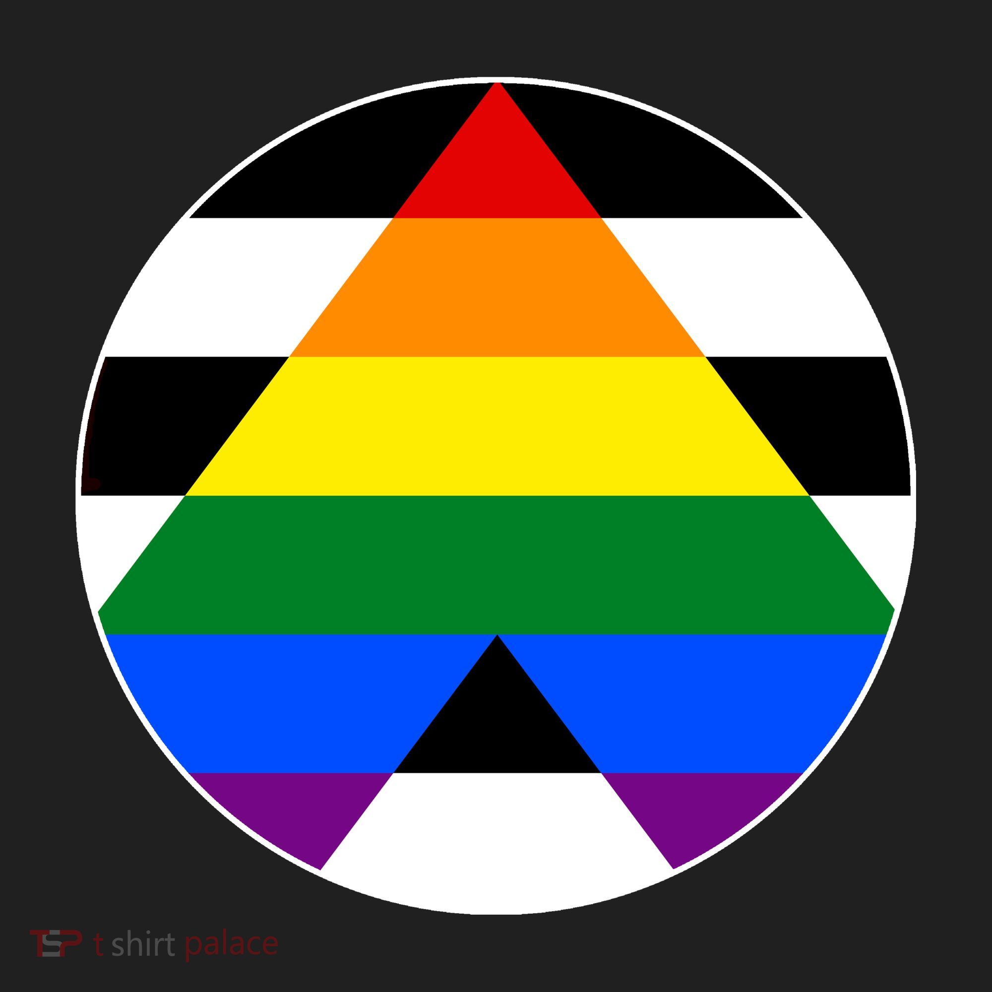 Ally Flag Circle Pyramid Pride Beanie