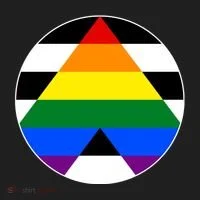 Ally Flag Circle Pyramid Pride Tumbler thumb 3