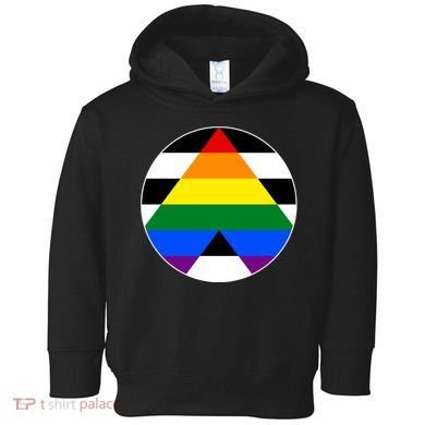 Ally Flag Circle Pyramid Pride Toddler Hoodie