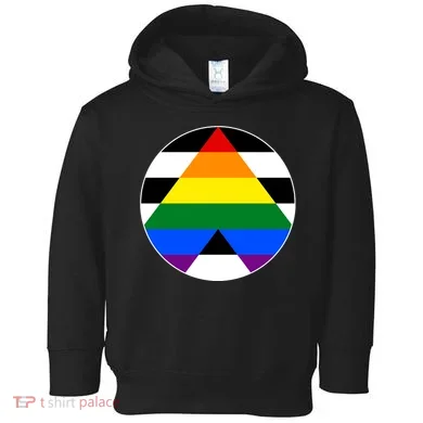Ally Flag Circle Pyramid Pride Toddler Hoodie