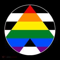 Ally Flag Circle Pyramid Pride Toddler Hoodie thumb 2