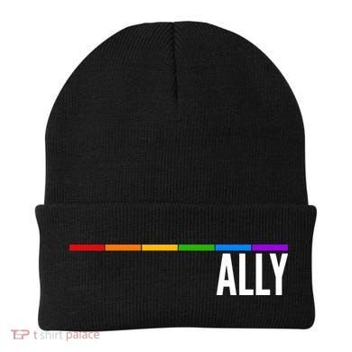 Ally LGBT Support Rainbow Thin Line Beanie