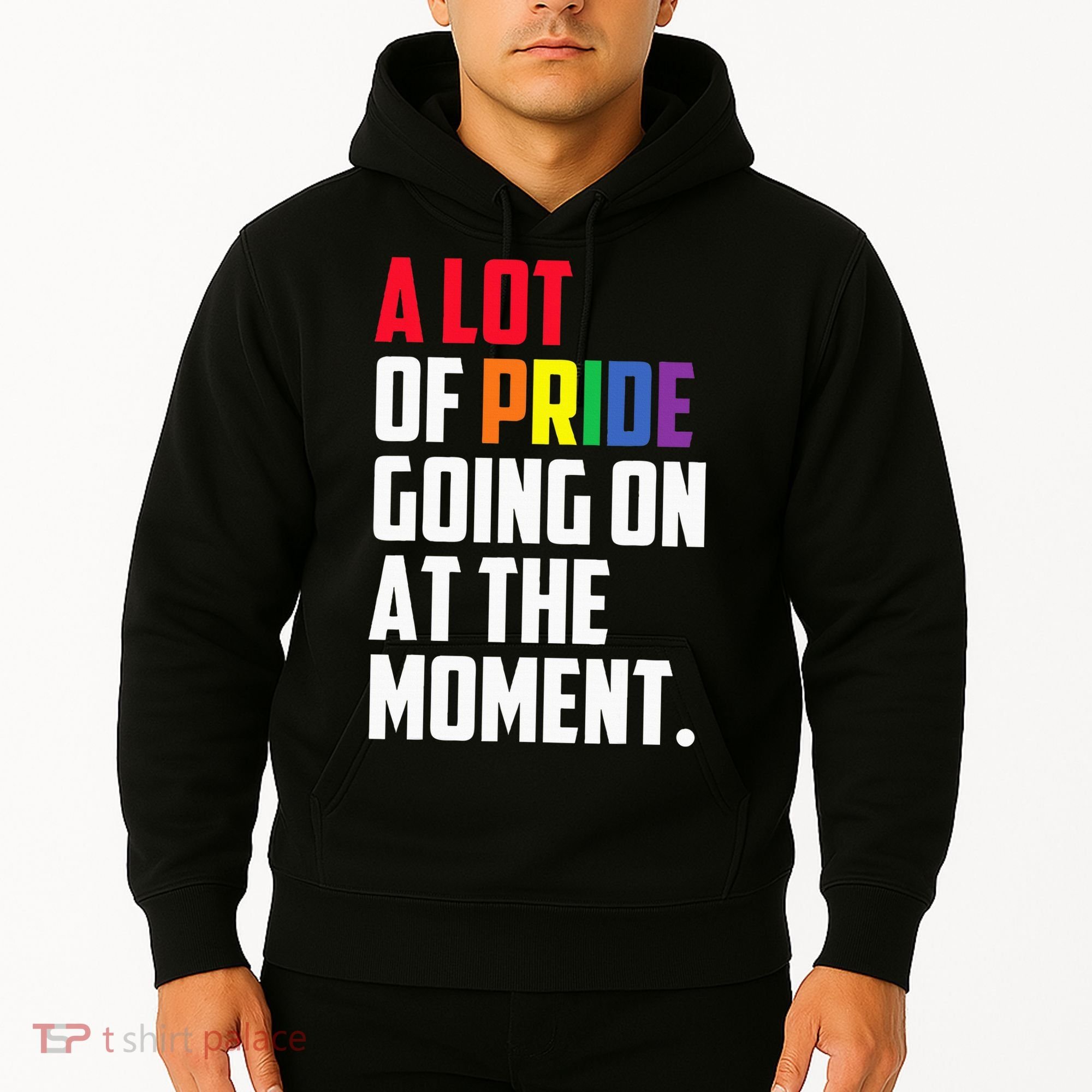 A Lot Of Pride Going On At The Moment Lgbt Pride Month Hoodie