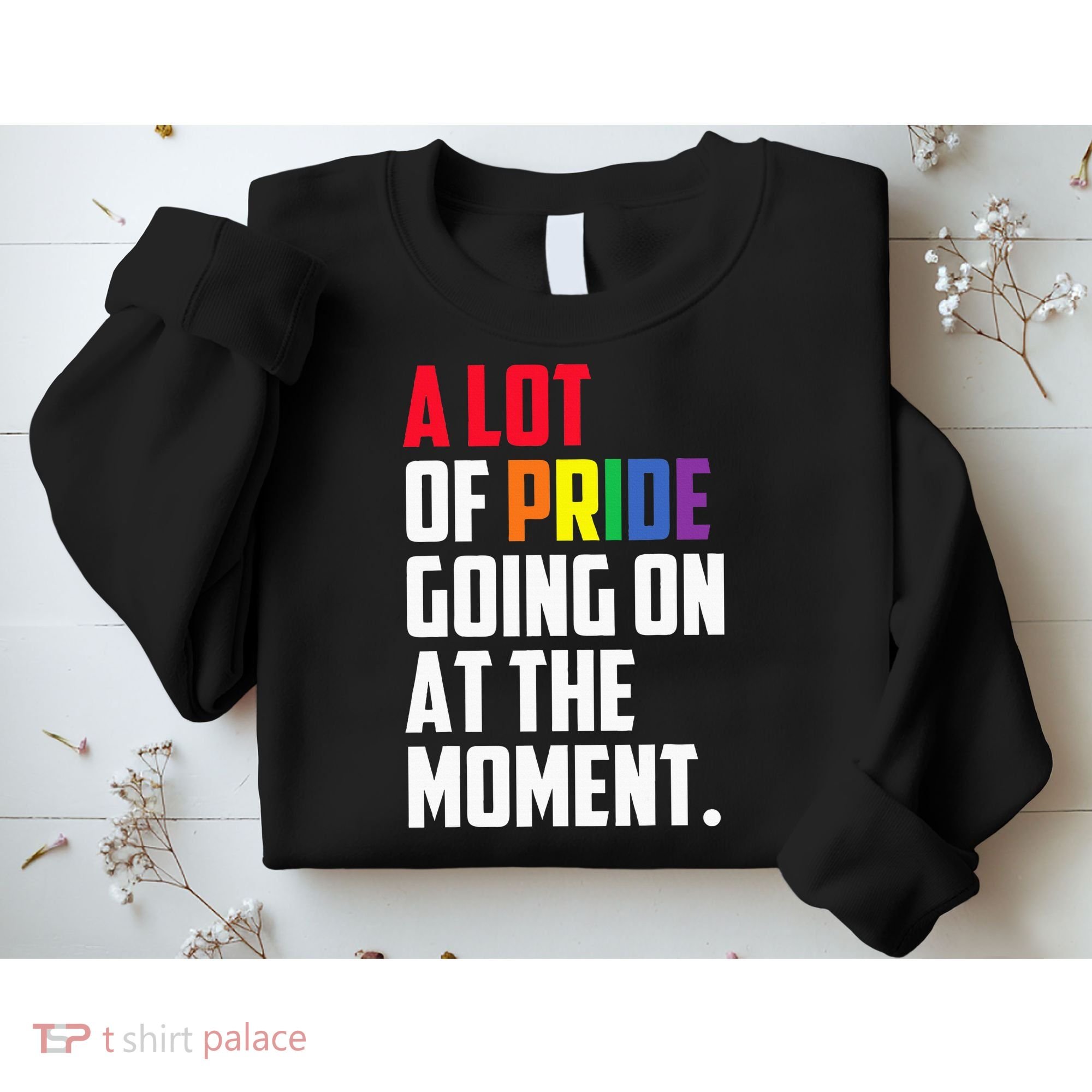 A Lot Of Pride Going On At The Moment Lgbt Pride Month Sweatshirt