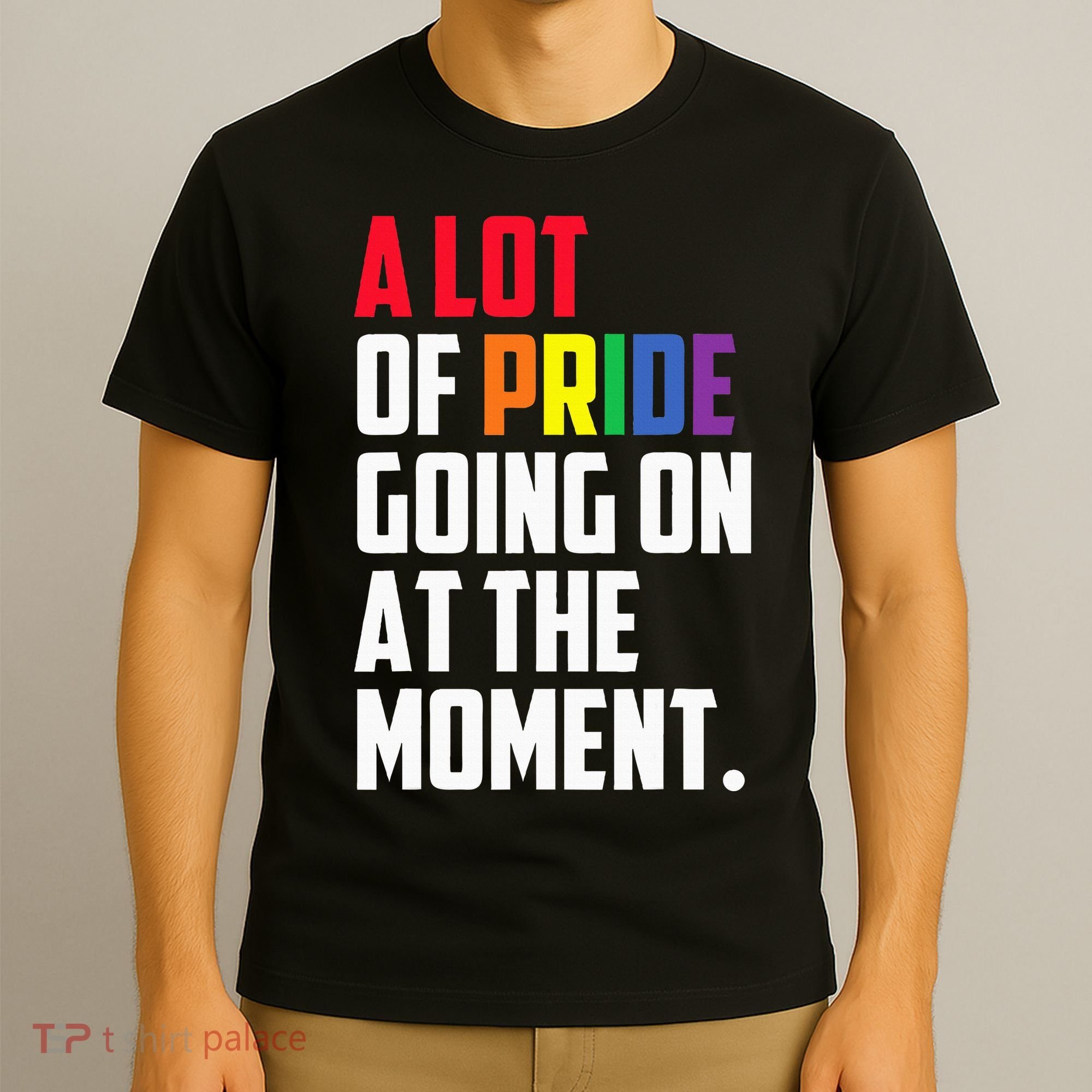 A Lot Of Pride Going On At The Moment Lgbt Pride Month T-Shirt