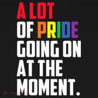 A Lot Of Pride Going On At The Moment Lgbt Pride Month T-Shirt thumb 7