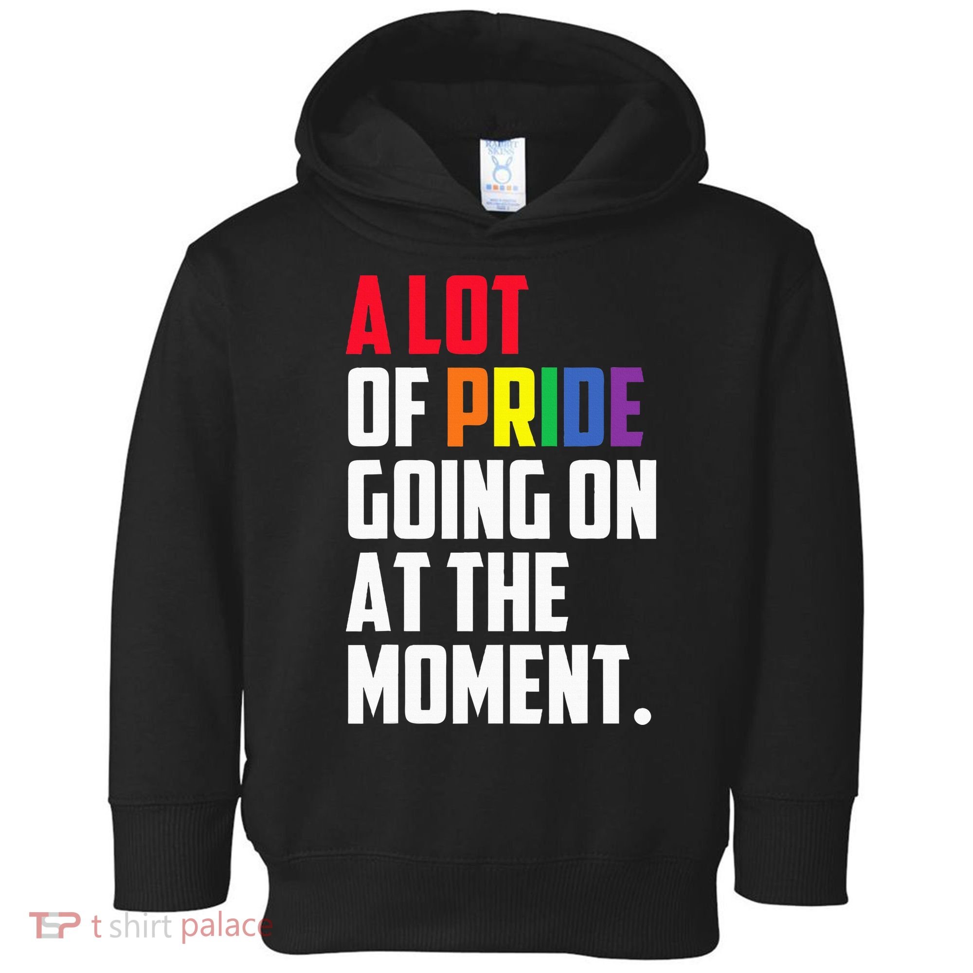 A Lot Of Pride Going On At The Moment Lgbt Pride Month Toddler Hoodie