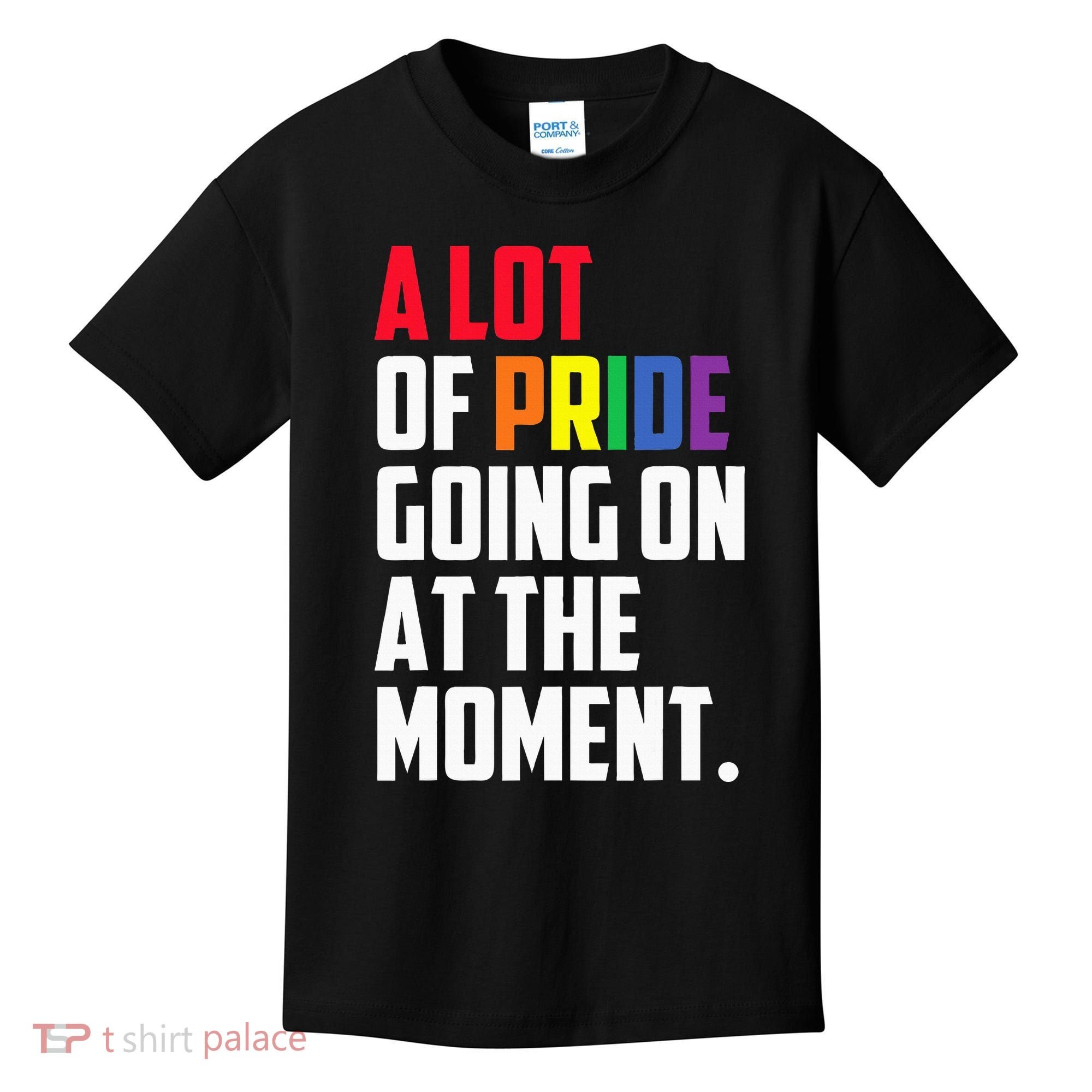 A Lot Of Pride Going On At The Moment Lgbt Pride Month Kids T-Shirt
