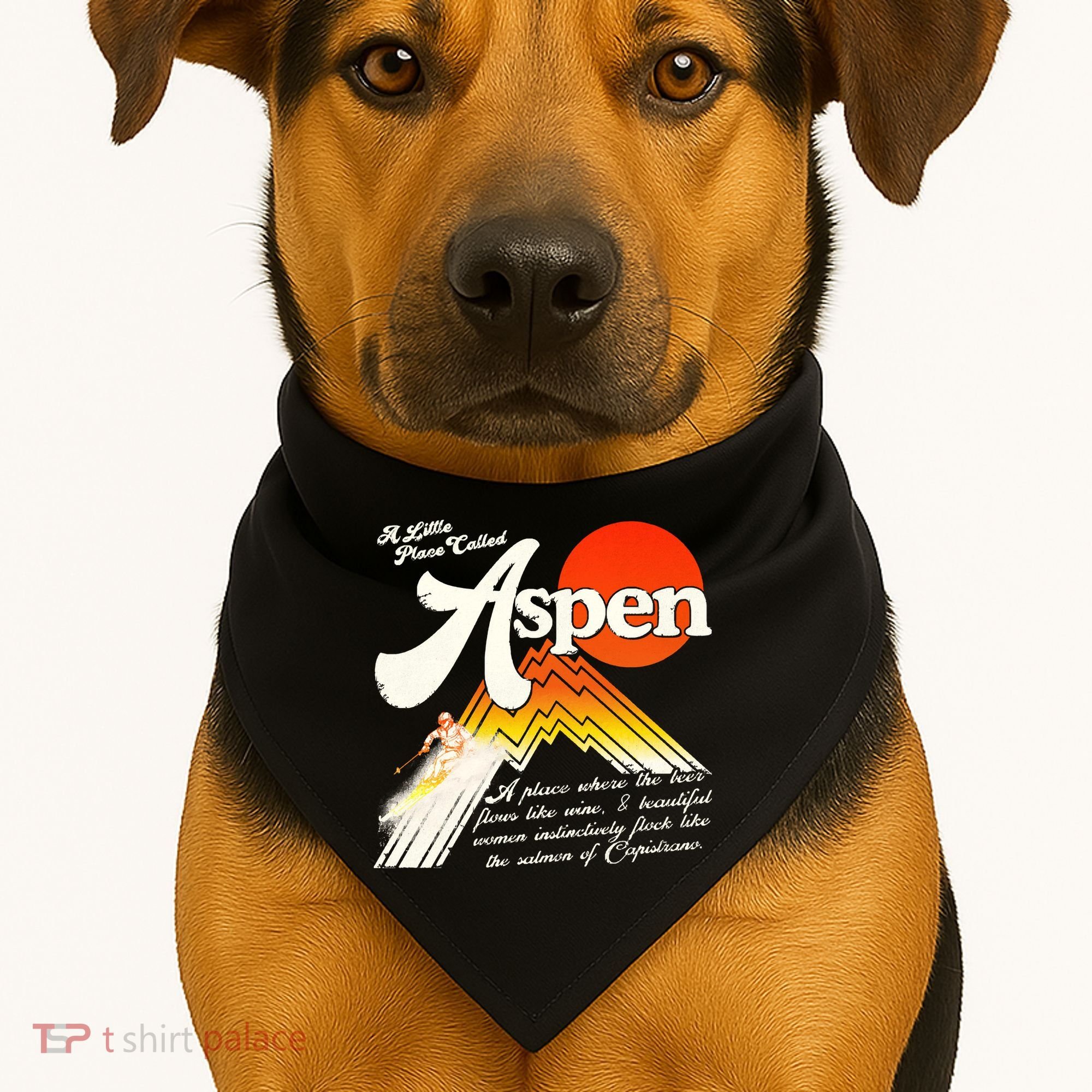 A Little Place Called Aspen Dumb &Amp; Dumber USA-Made Doggie Bandana