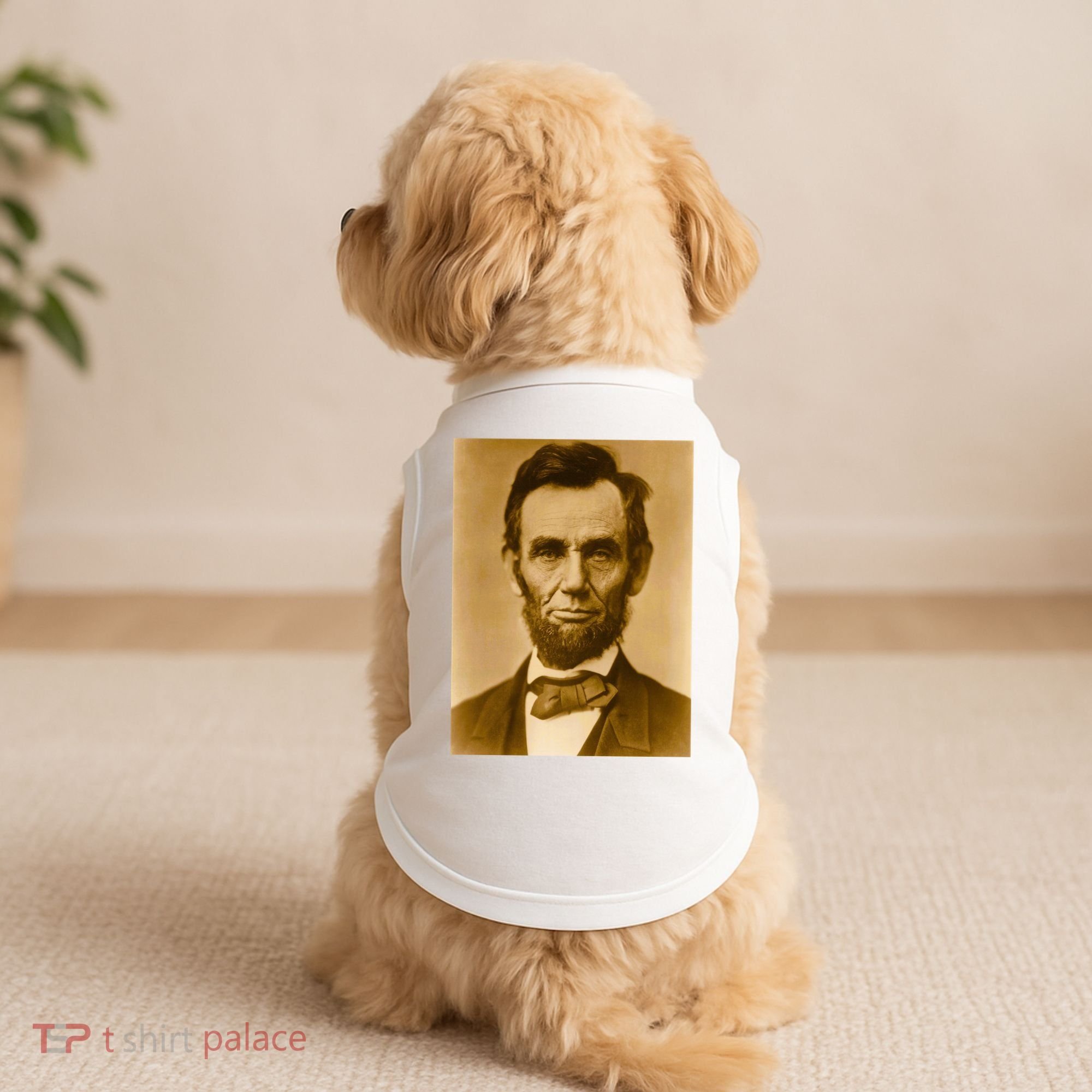 Abraham Lincoln Photograph Historical Artwork From 1863 Doggie Tank