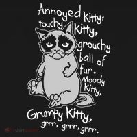 Annoyed Litty Touchy Kitty Grouchy Ball Of Fur Moody Kitty Grumpy Kitty Cat Women's Hoodie thumb 2