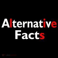 Alternative Facts Lies Ornament thumb 1