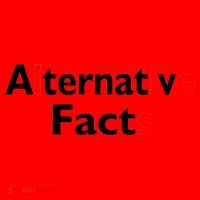 Alternative Facts Lies Santa Hat thumb 1