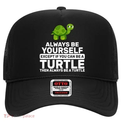 Always Be A Turtle Hat