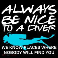Always Be Nice To A Diver Ornament thumb 1