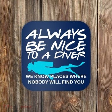 Always Be Nice To A Diver Coaster