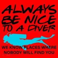Always Be Nice To A Diver Santa Hat thumb 1