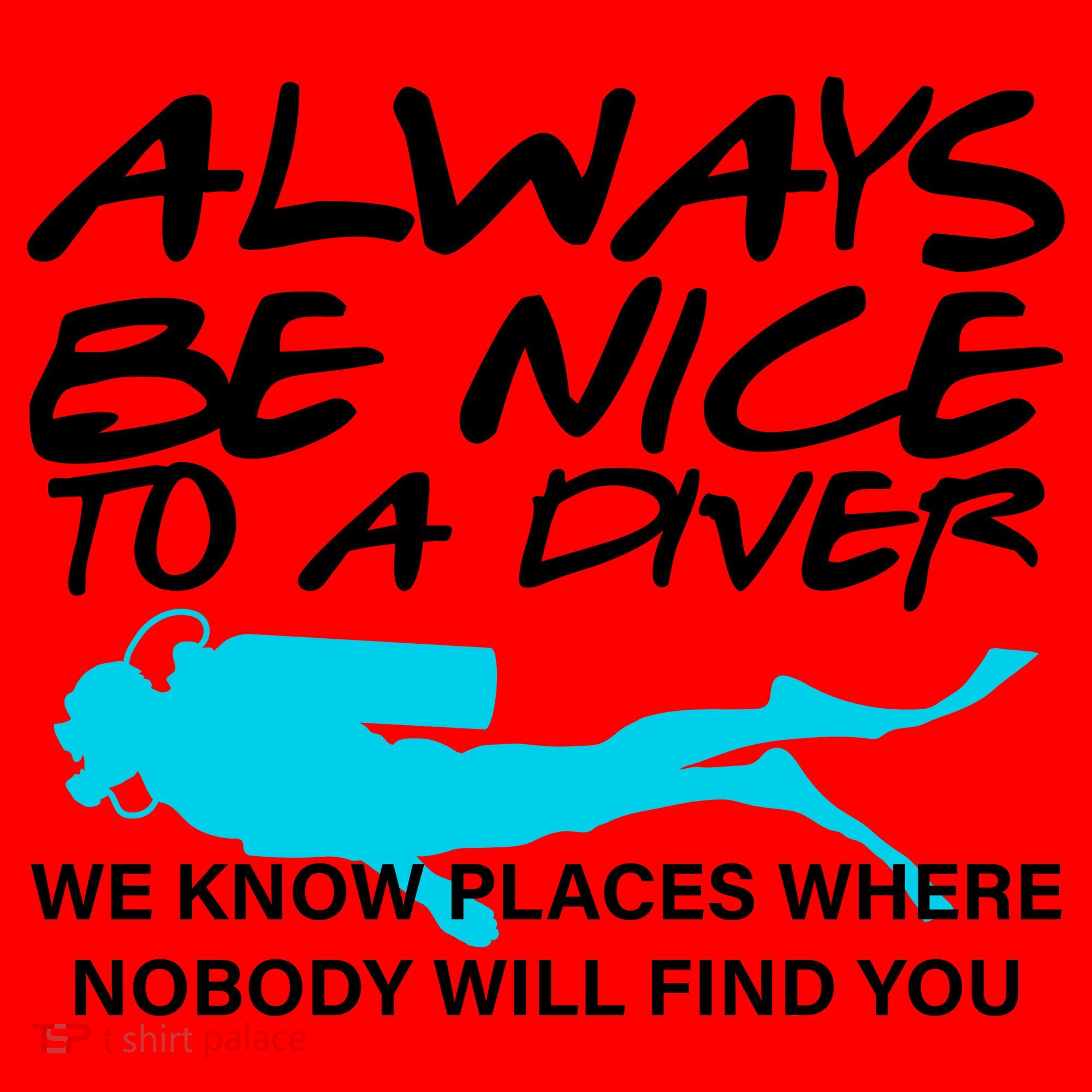 Always Be Nice To A Diver Santa Hat