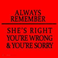 Always Remember She's Rights Your Wrong And Sorry  Santa Hat thumb 1