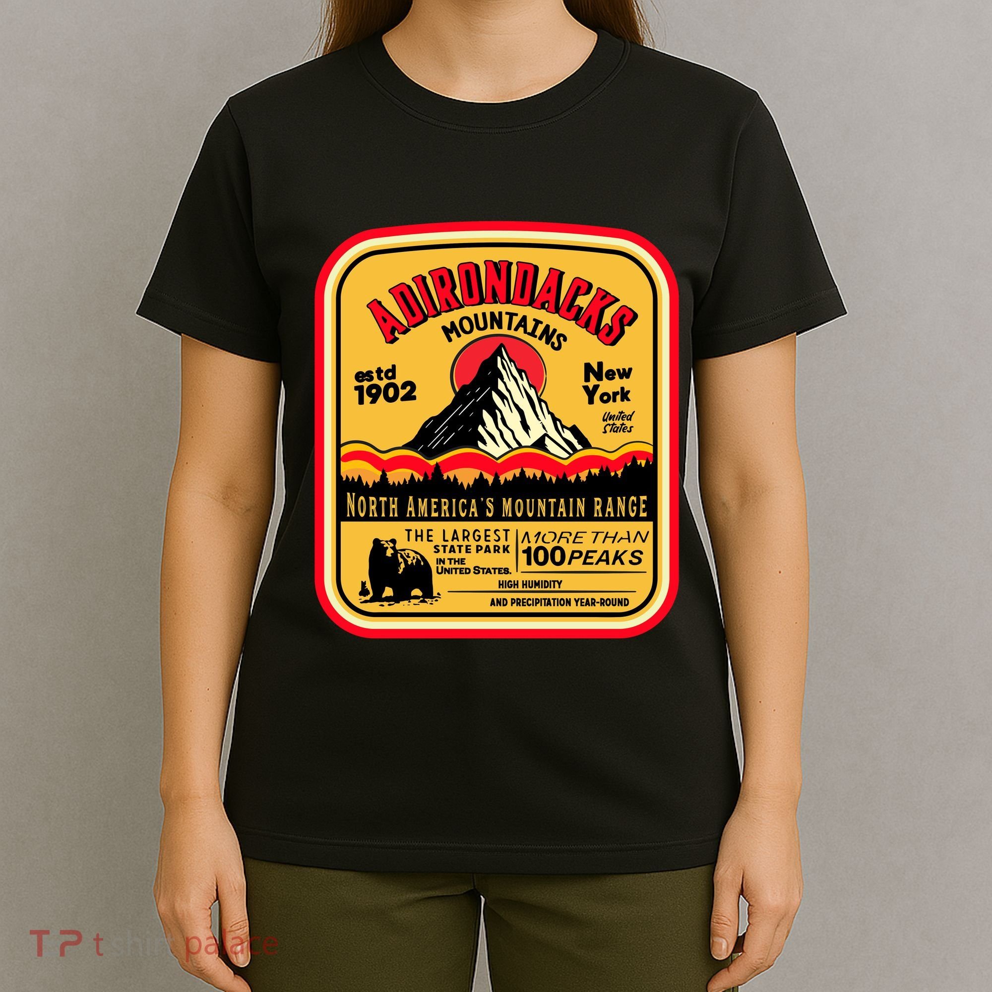 Adirondack Mountains (Adk) Aged Look T-Shirt