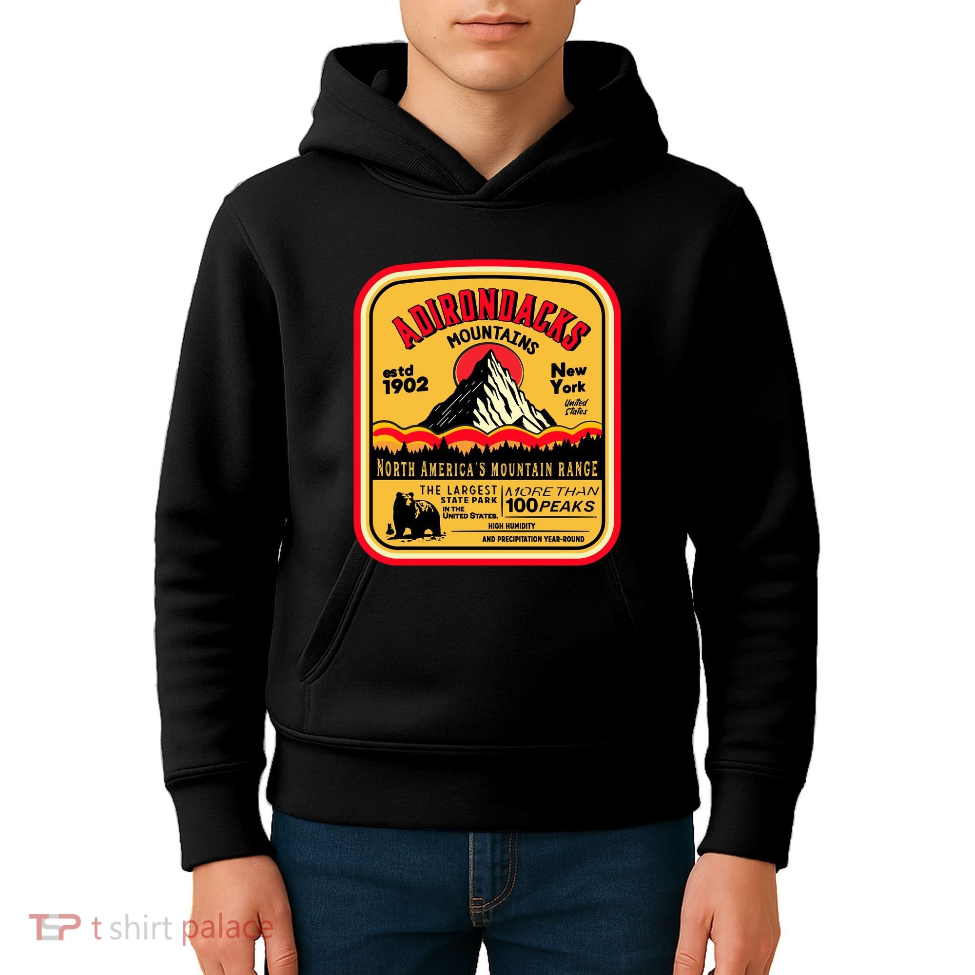 Adirondack Mountains (Adk) Aged Look Kids Hoodie