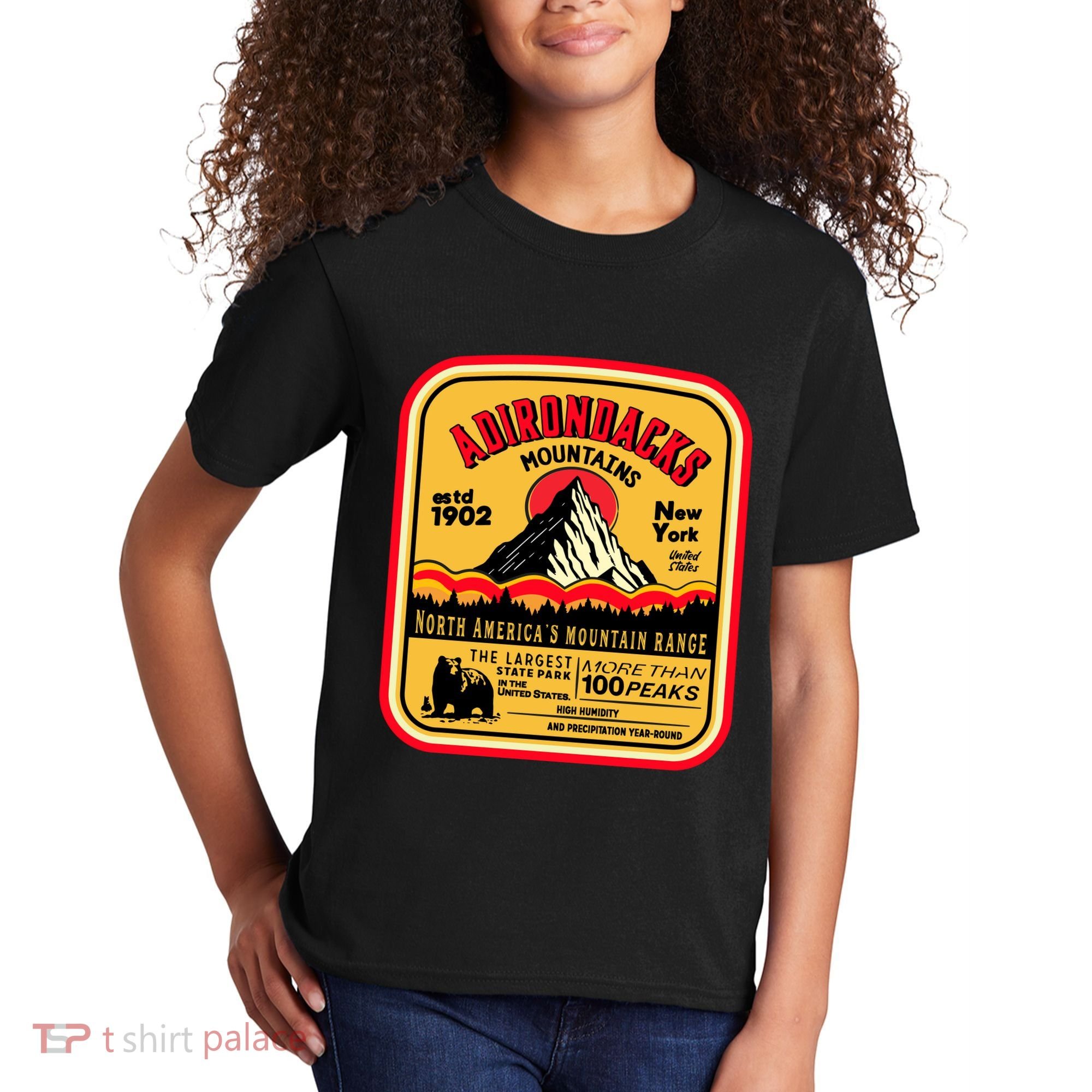 Adirondack Mountains (Adk) Aged Look Kids T-Shirt