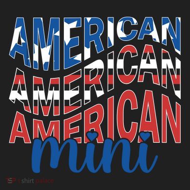 American Mini Ladies Heavyweight Boxy Pullover Hoodie