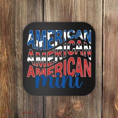 American Mini Coaster
