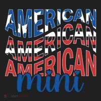 American Mini Hat thumb 2