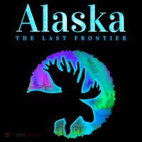 Alaska Moose Aurora Borealis The Last Frontier Funny Gift Ornament thumb 1