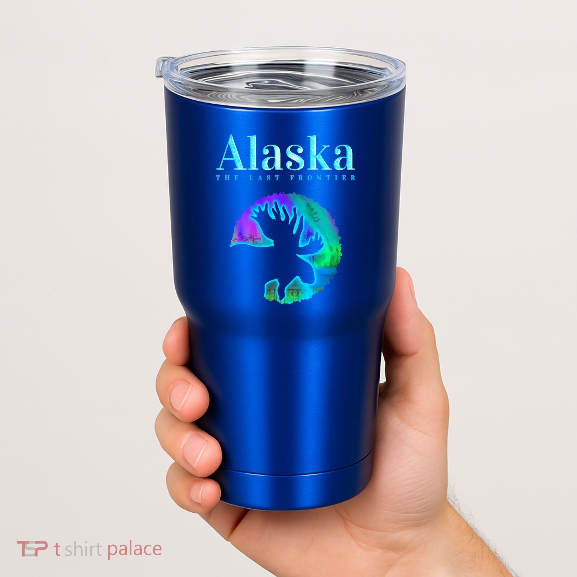 Alaska Moose Aurora Borealis The Last Frontier Funny Gift Tumbler