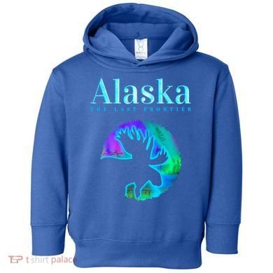 Alaska Moose Aurora Borealis The Last Frontier Funny Gift Toddler Hoodie