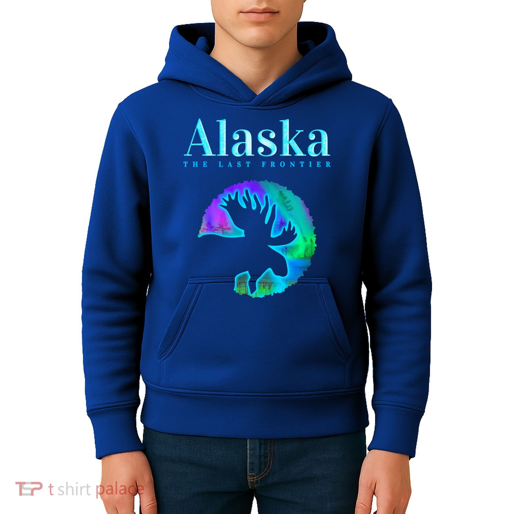 Alaska Moose Aurora Borealis The Last Frontier Funny Gift Kids Hoodie
