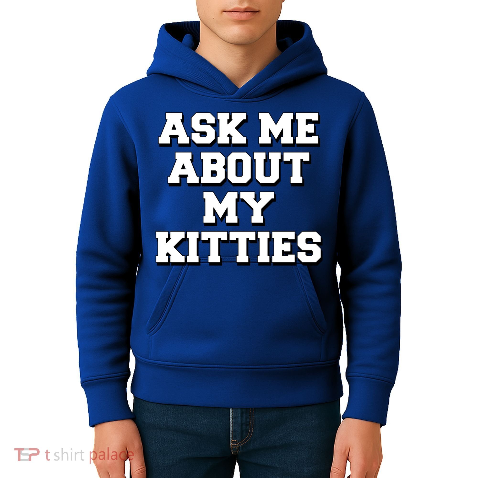 Ask Me About My Kitties Funny And Sarcastic Kitten Cat Lover Gift Kids Hoodie