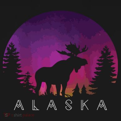 Alaska Moose Borealis Alaskan Landscape Women's Hoodie