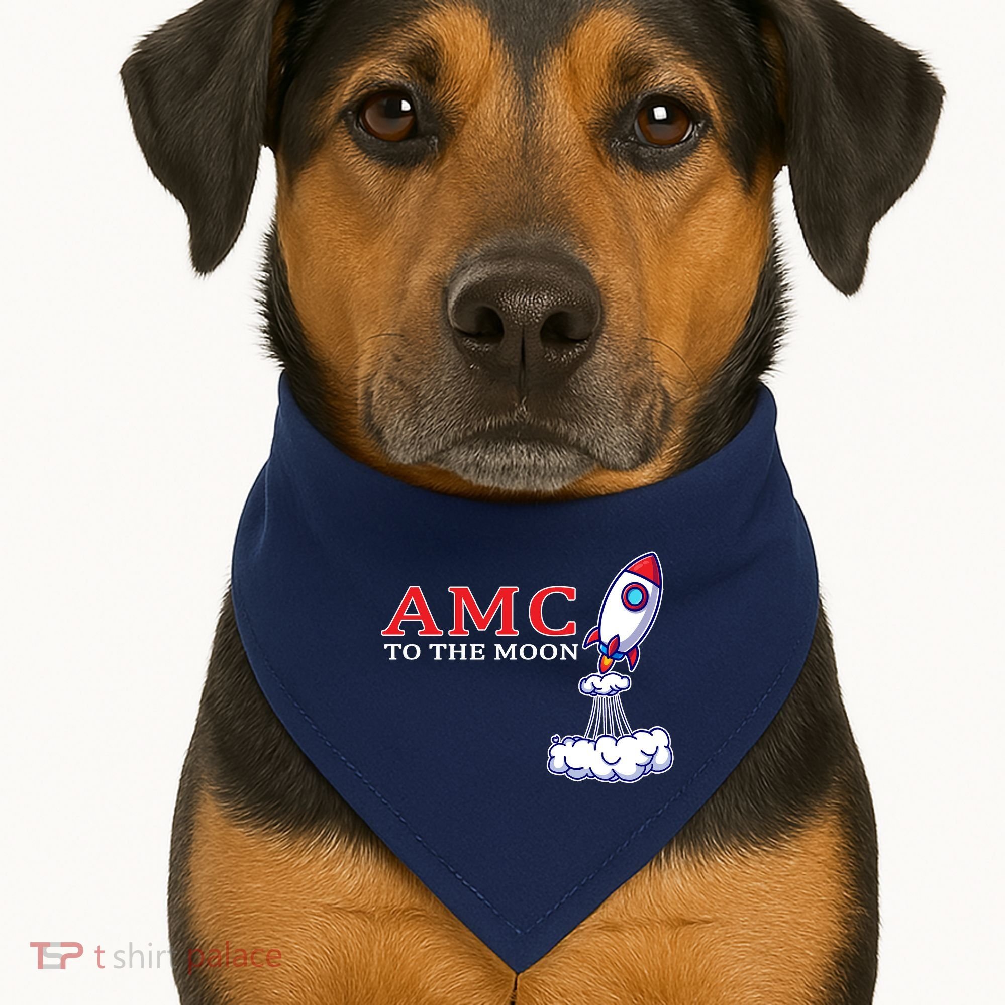 AMC Stocks To The Moon Wall Street USA-Made Doggie Bandana