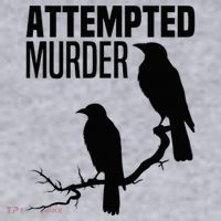 Attempted Murder Crows Raven Bird Meme Women's Sweatshirt thumb 2