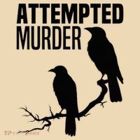 Attempted Murder Crows Raven Bird Meme Tote Bag thumb 4