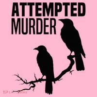 Attempted Murder Crows Raven Bird Meme Coaster thumb 2