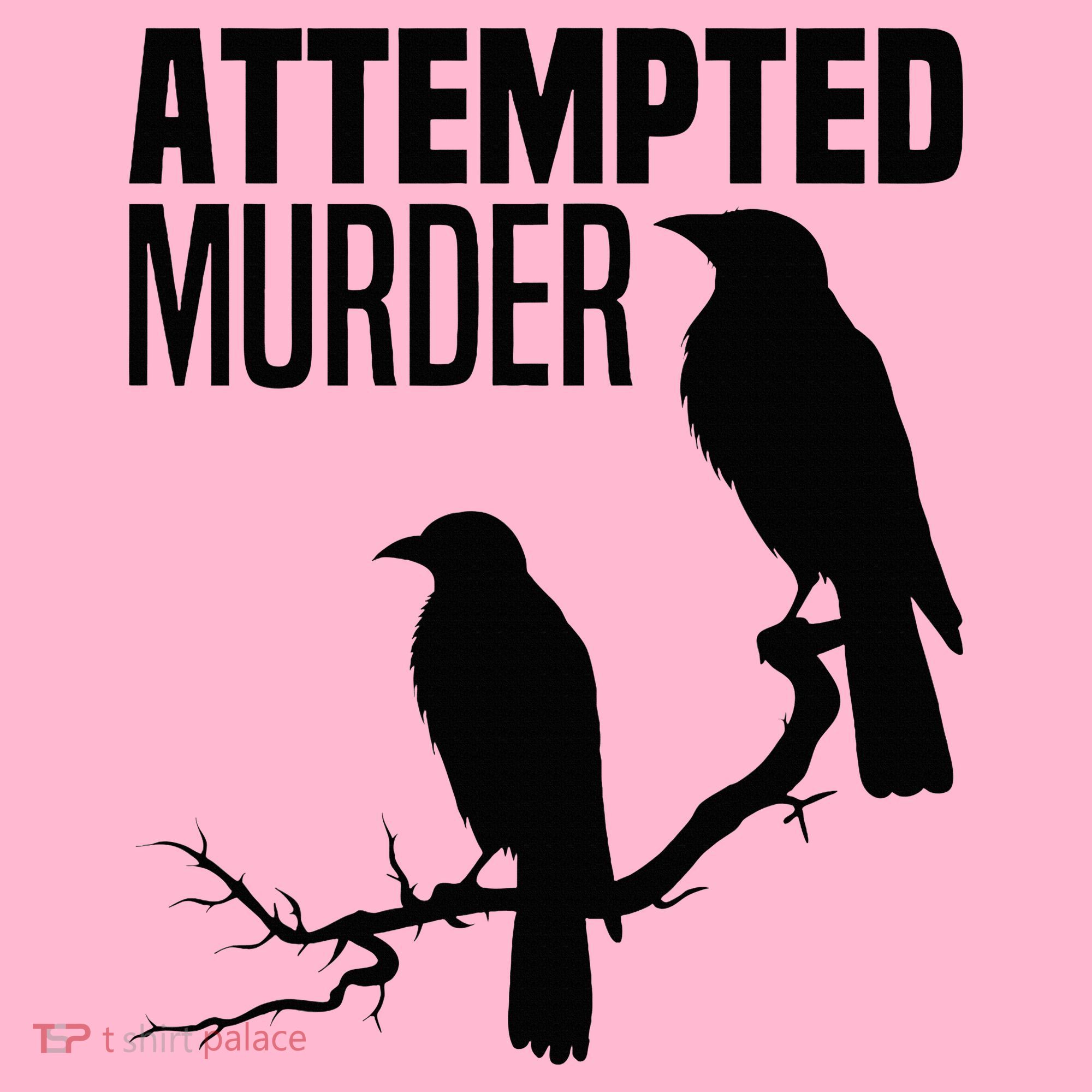 Attempted Murder Crows Raven Bird Meme Coaster