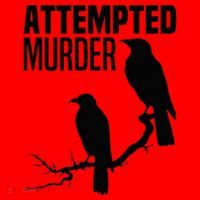 Attempted Murder Crows Raven Bird Meme Santa Hat thumb 1