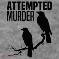 Attempted Murder Crows Raven Bird Meme Toddler Hoodie thumb 2