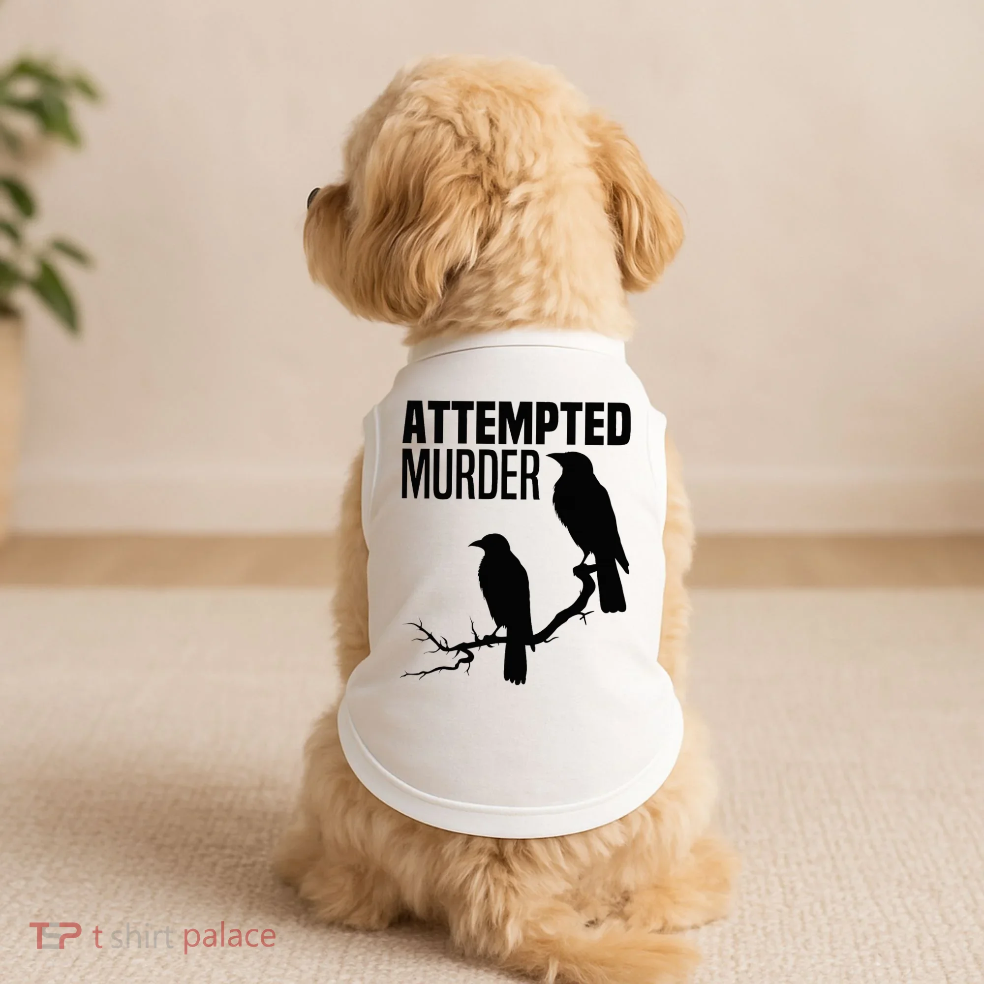 Attempted Murder Crows Raven Bird Meme Doggie Tank