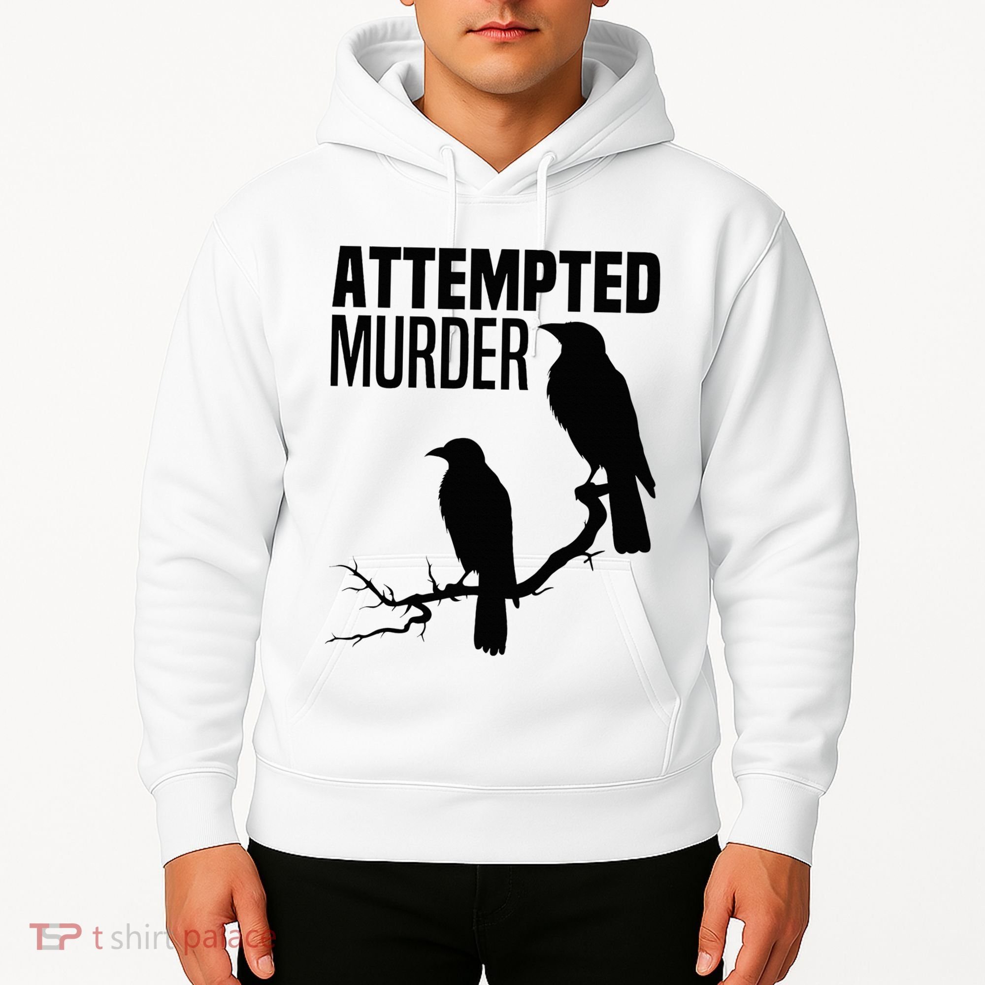 Attempted Murder Crows Raven Bird Meme Hoodie