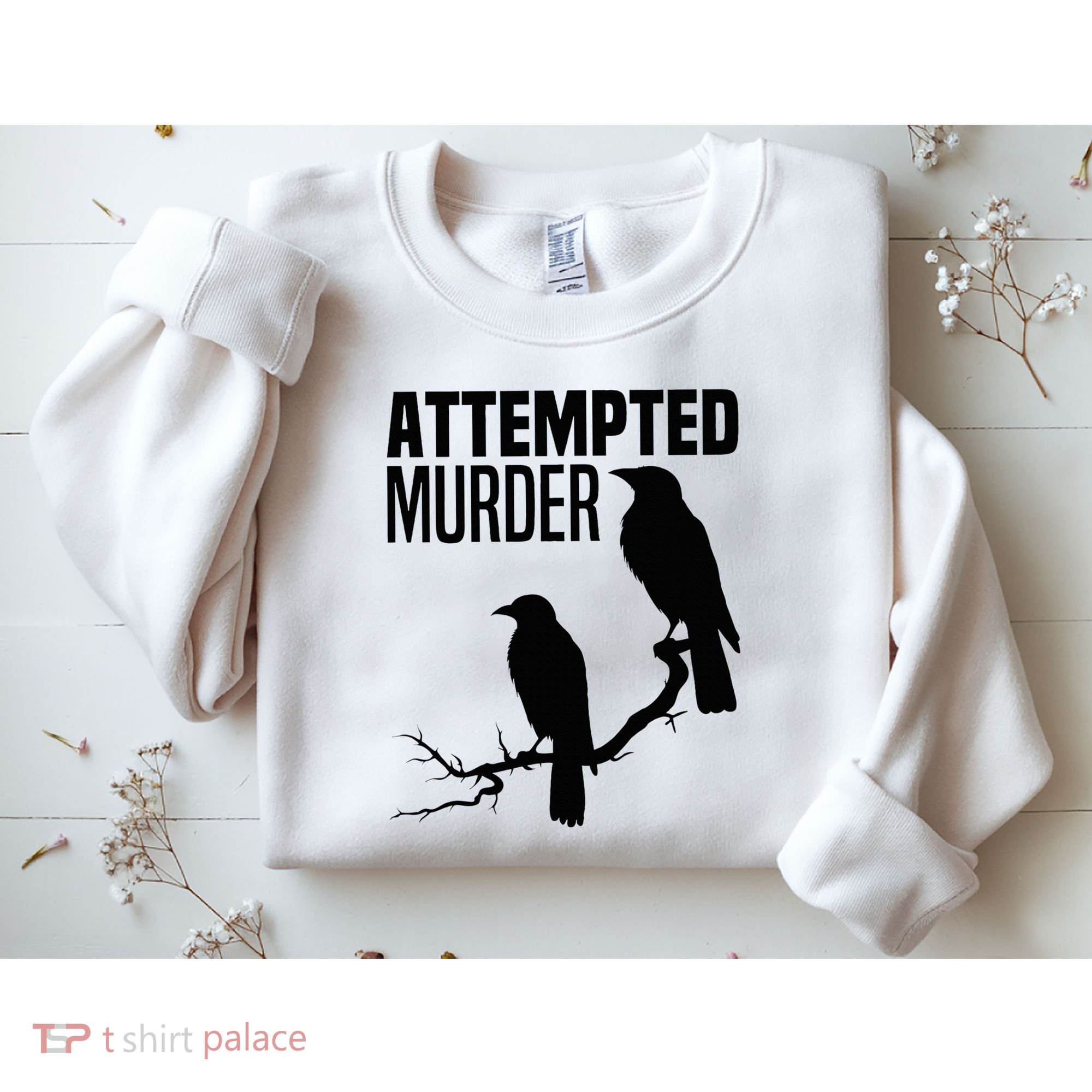 Attempted Murder Crows Raven Bird Meme Sweatshirt