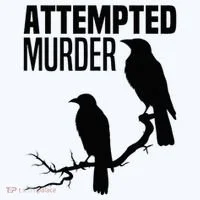 Attempted Murder Crows Raven Bird Meme Bucket Hat thumb 4