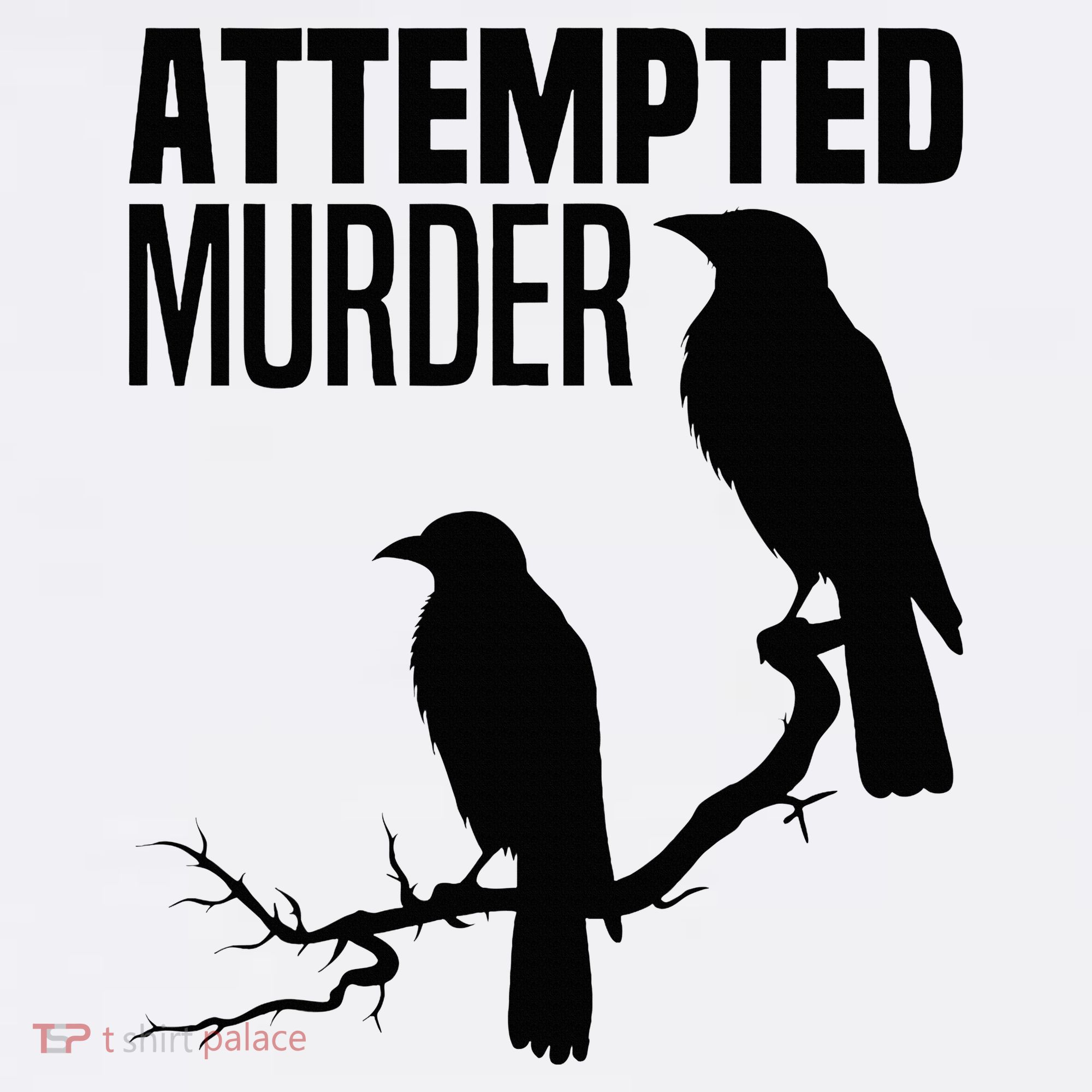 Attempted Murder Crows Raven Bird Meme Women's Hoodie