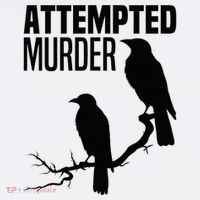 Attempted Murder Crows Raven Bird Meme Ornament thumb 1